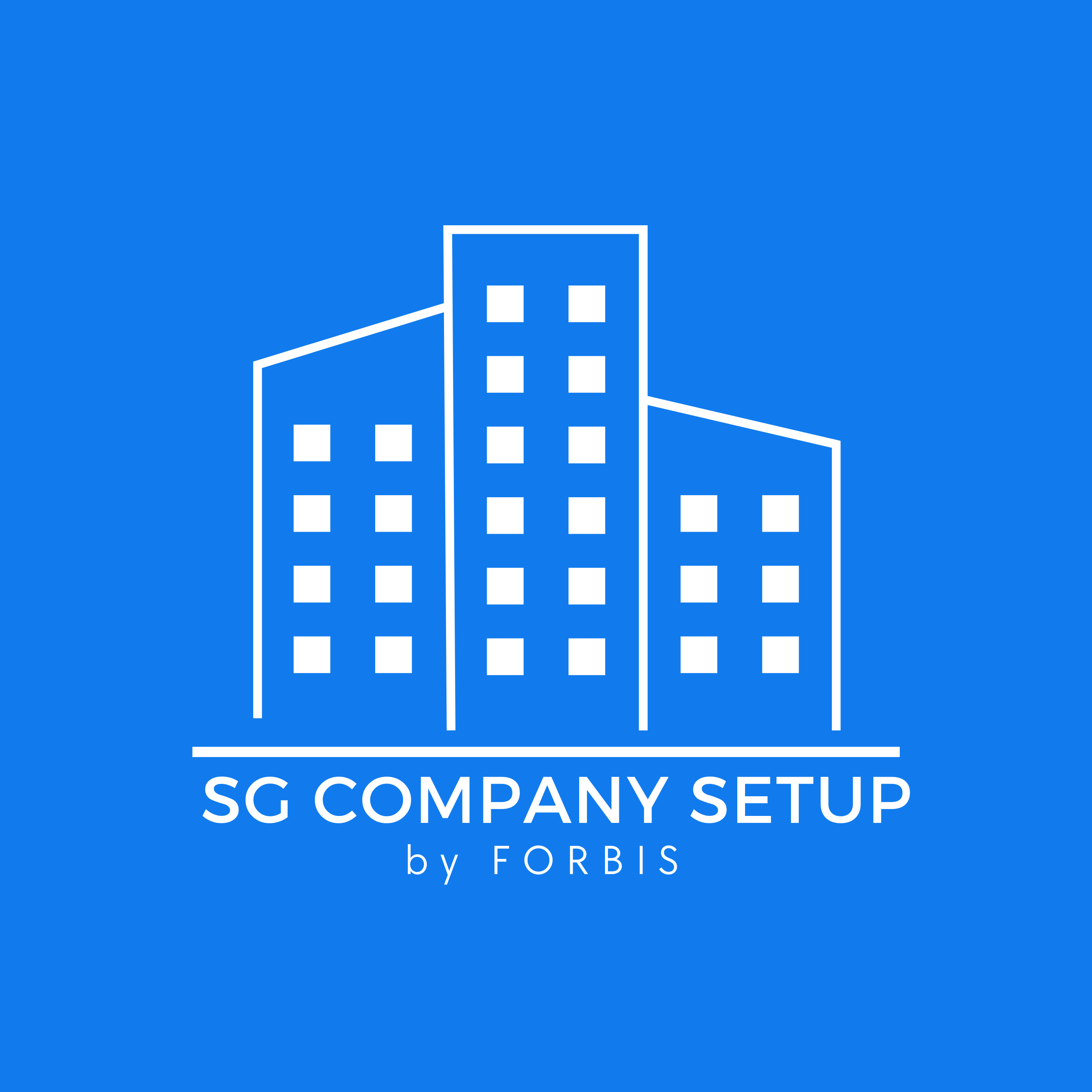 SG Company Setup